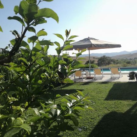 Agriturismo Podere Il Fornacino Санта Луче Екстериор снимка