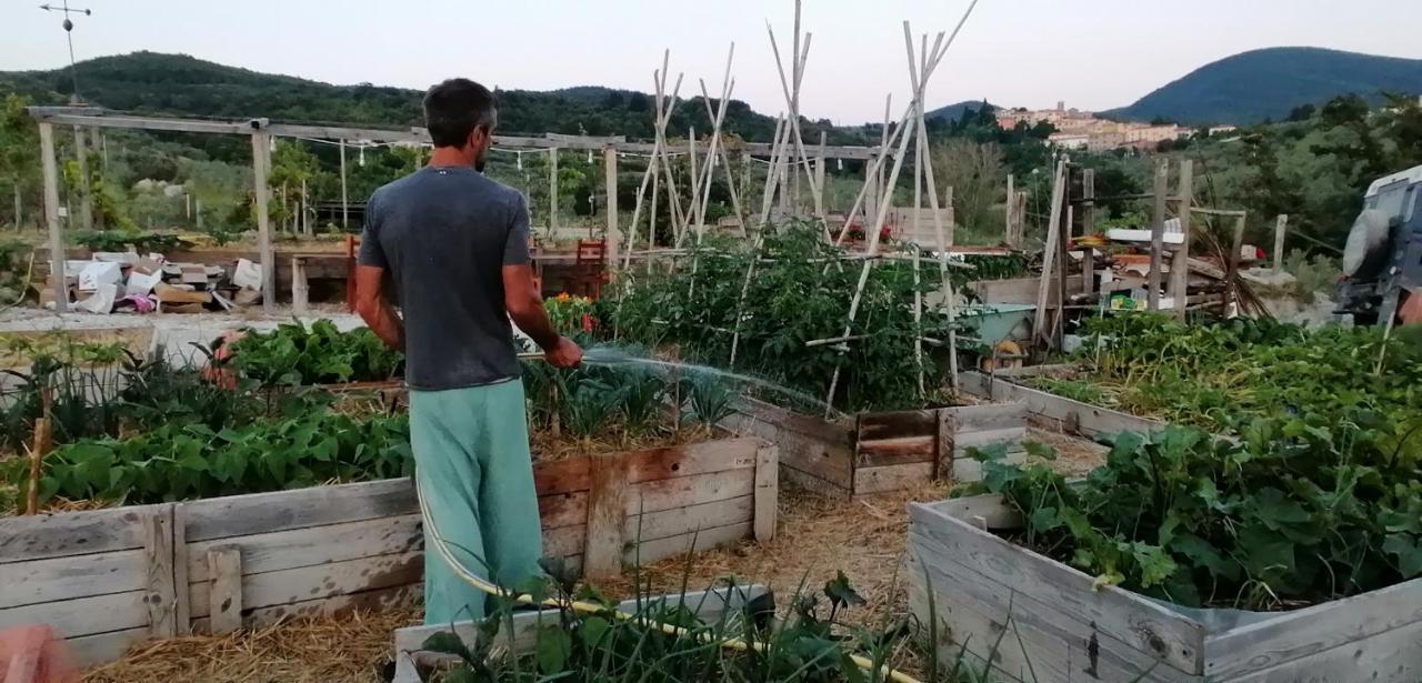 Agriturismo Podere Il Fornacino Санта Луче Екстериор снимка